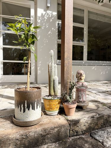 Oaklands, North Bondi17