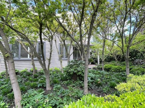 Peppercorn, Surrey Hills - 23