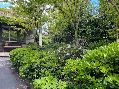 Peppercorn, Surrey Hills - 25