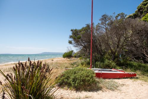 Beachside Dreams, Rye60