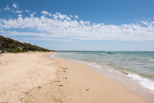 Beachside Dreams, Rye61