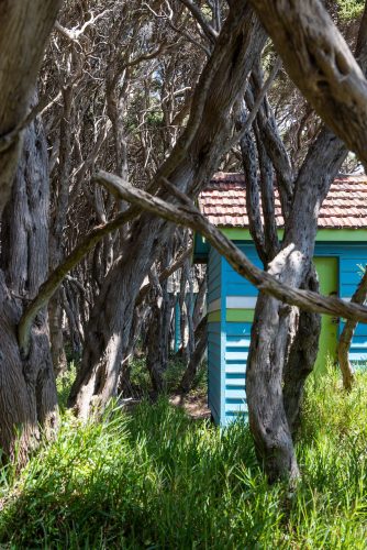 Beachside Dreams, Rye64