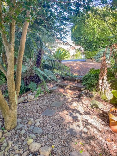 Benson Creek, Lindfield22