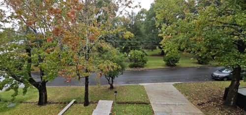 Boden Place, Wahroonga12