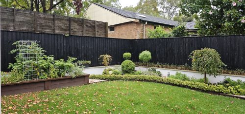 backyard garden established