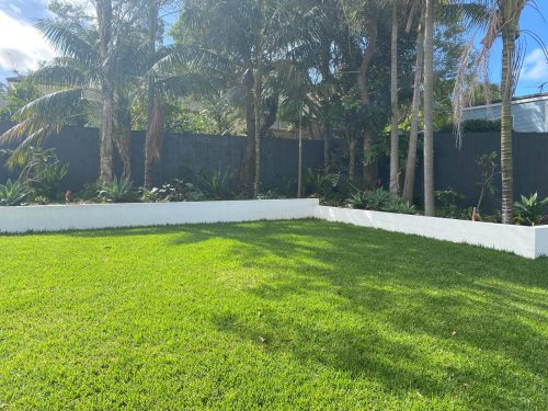backyard garden established