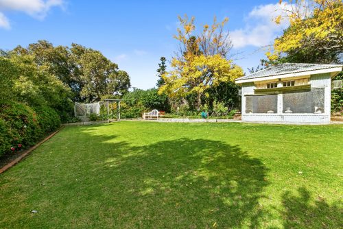 backyard