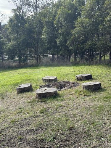 VIRIDI FIREPIT