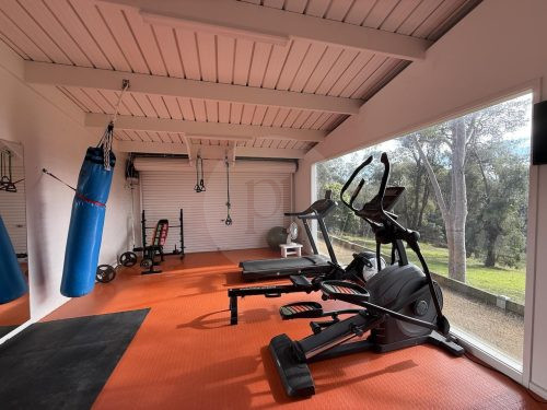 VIRIDI GYM3