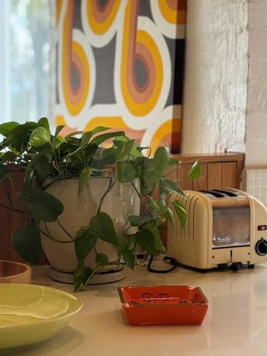 VIRIDI KITCHEN 1