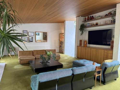 VIRIDI MAIN LIVING AREA9