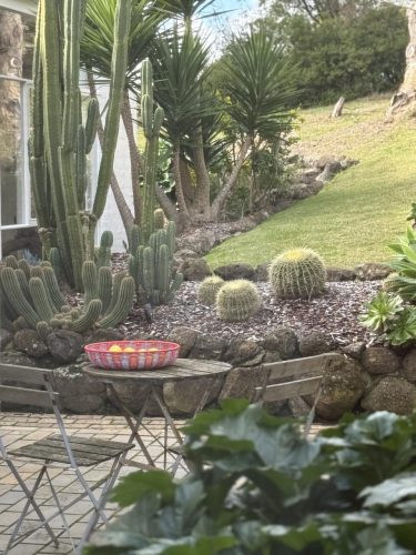 VIRIDI OUTDOOR LIVING 8