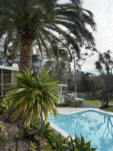 VIRIDI POOL22