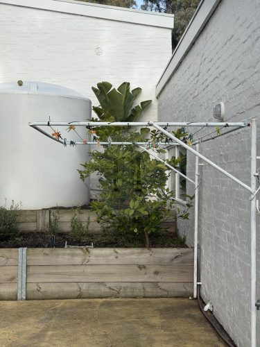 VIRIDI WASHING LINE1