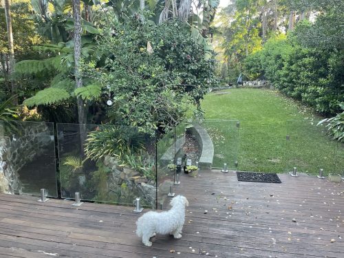 backyard garden established pool
