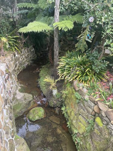 Benson Creek, Lindfield2