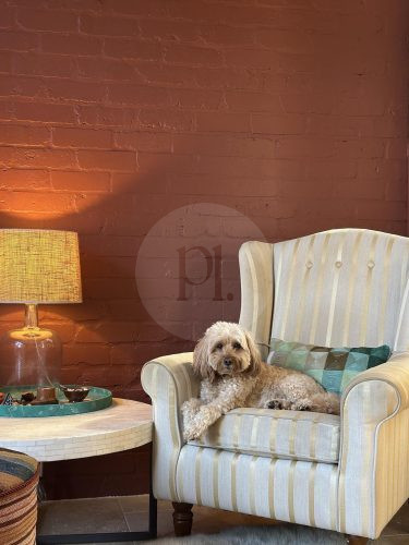 Cinnamon, Marrickville 55