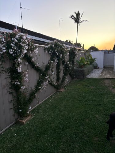 garden established