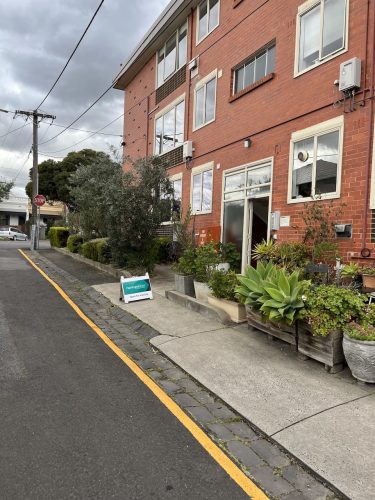 outdoor area garden established