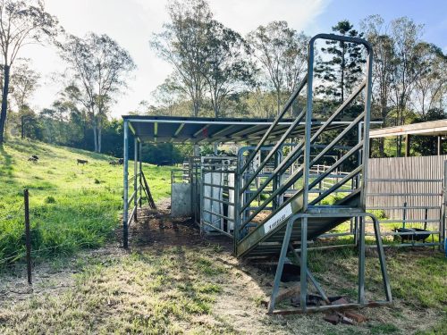 Leafy Acres, Pullenvale 23