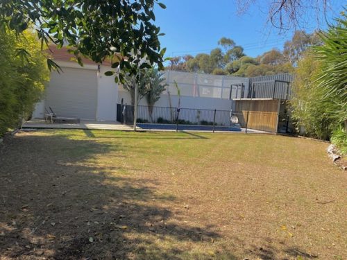 backyard