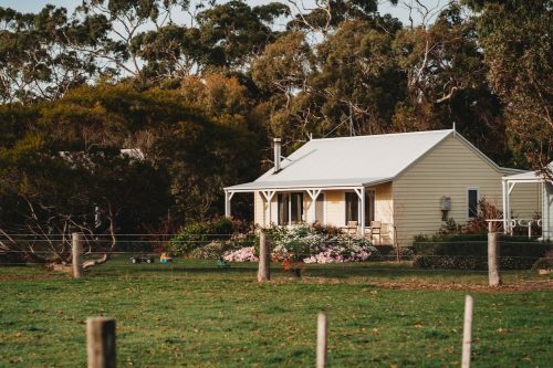 Sunflower Cottages, Freshwater Creek 10