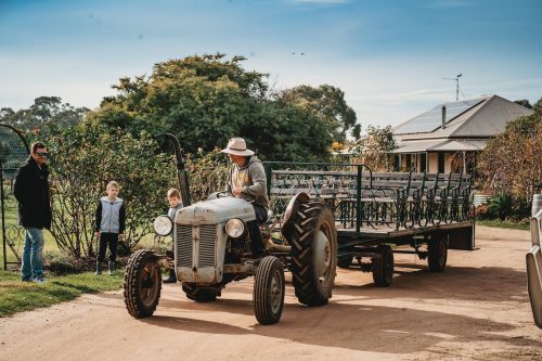 Sunflower Cottages, Freshwater Creek 13