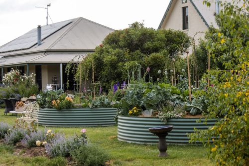 Sunflower Cottages, Freshwater Creek 17