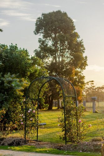 Sunflower Cottages, Freshwater Creek 21