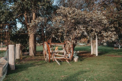 Sunflower Cottages, Freshwater Creek 4
