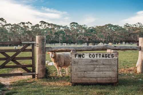 Sunflower Cottages, Freshwater Creek 5