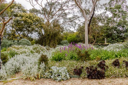garden established