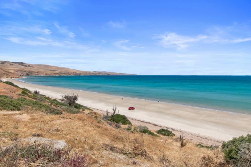 Twin Fin, Sellicks Beach25