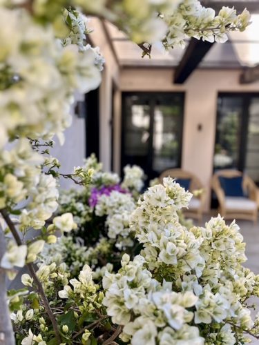 Villa Fiore 37