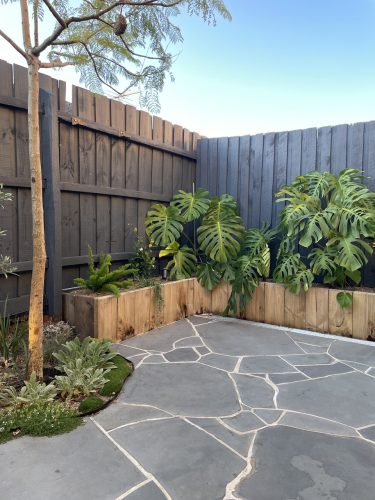 backyard pool outdoor area garden established