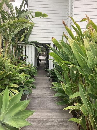 Garden established