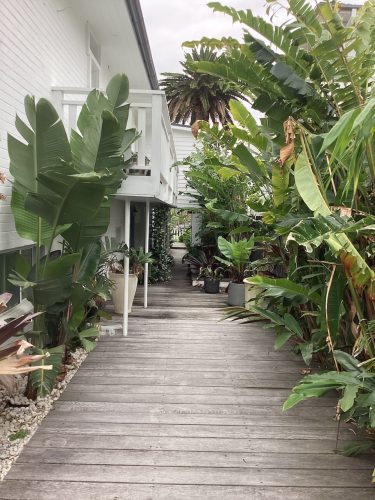 Outdoor area