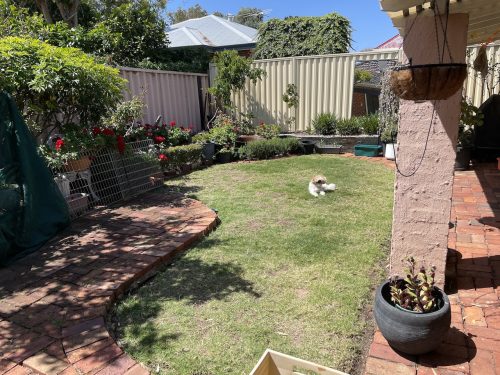 Stewart, Shenton Park 2