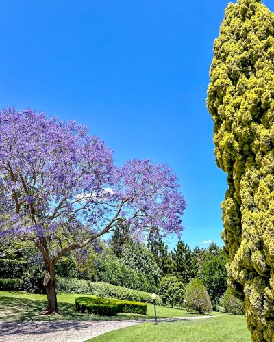 Summer Villa, Pullenvale 37