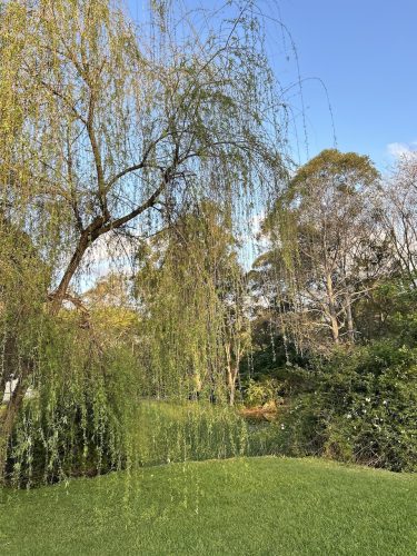 Summer Villa, Pullenvale 45