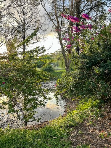 Summer Villa, Pullenvale 49