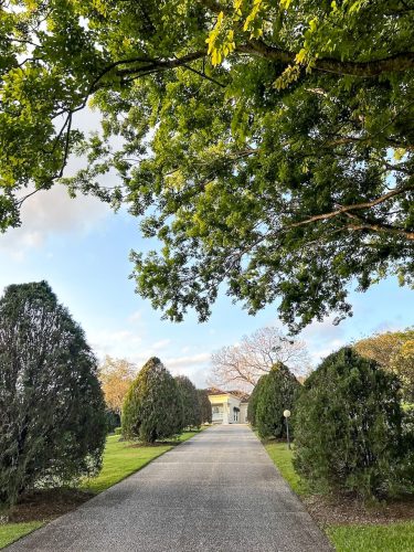 Summer Villa, Pullenvale 52