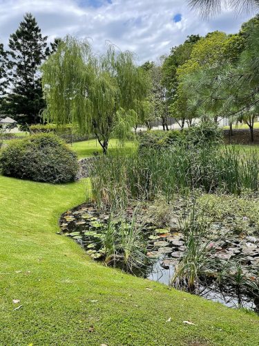 garden established