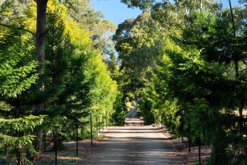 Summer Villa, Pullenvale 8