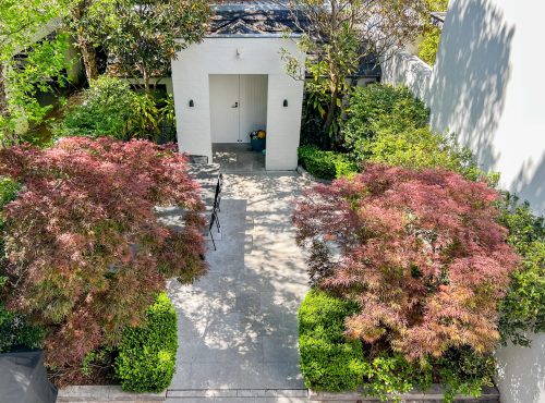 garden established pool