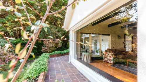 Vestige, Red Hill 20