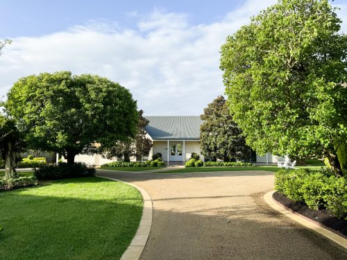 Jasmine, Mount Martha-12