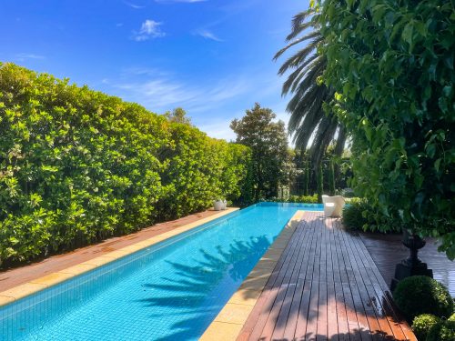 Jasmine, Mount Martha-17