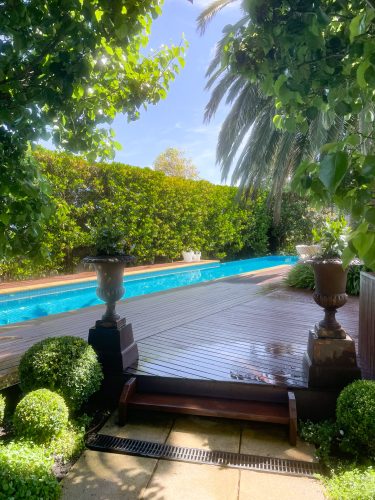 Jasmine, Mount Martha-19