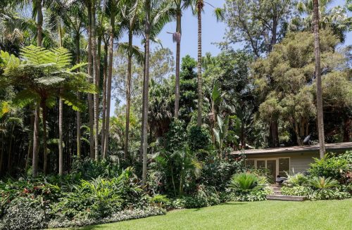 Mala Home, Avalon 11